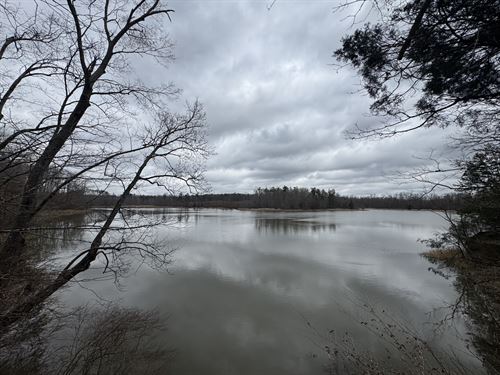 Sportsmans Dream Property : Lexington : Holmes County : Mississippi