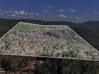 80 Acres in The Ozarks : Dover : Pope County : Arkansas