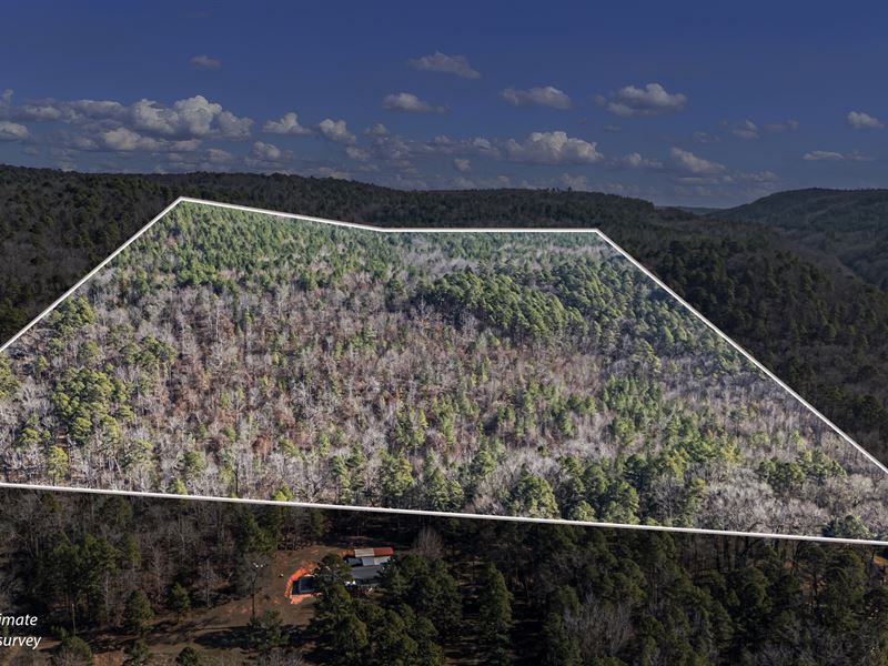 80 Acres in The Ozarks : Dover : Pope County : Arkansas