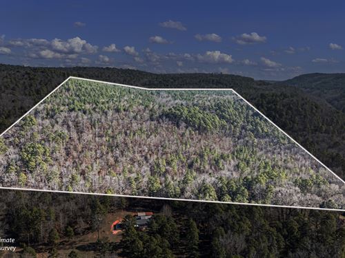 80 Acres in The Ozarks : Dover : Pope County : Arkansas