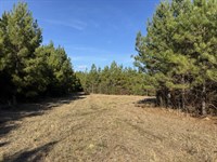 Creekside Timber Haven : Tylertown : Walthall County : Mississippi