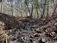 Tract A Cann Road : Anderson : South Carolina