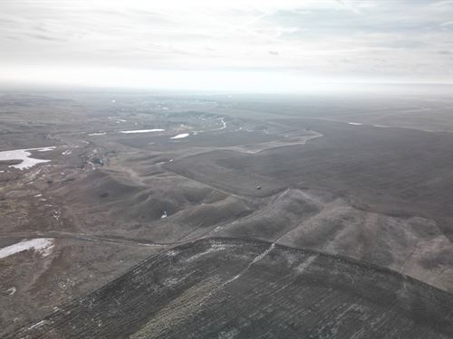 Tule Creek Flats Farm : Wolf Point : Roosevelt County : Montana
