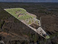 19 Acres in The Ozarks : Dover : Pope County : Arkansas