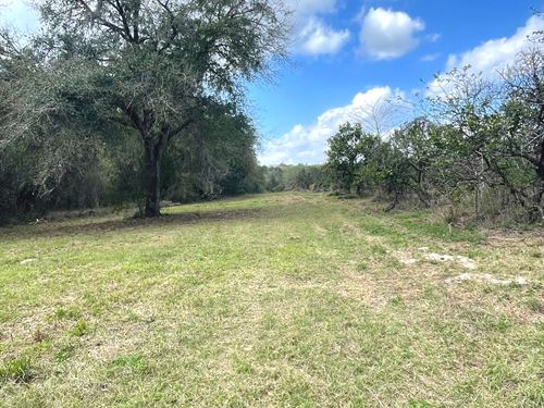 Weirsdale 30 Acre Tract : Weirsdale : Marion County : Florida