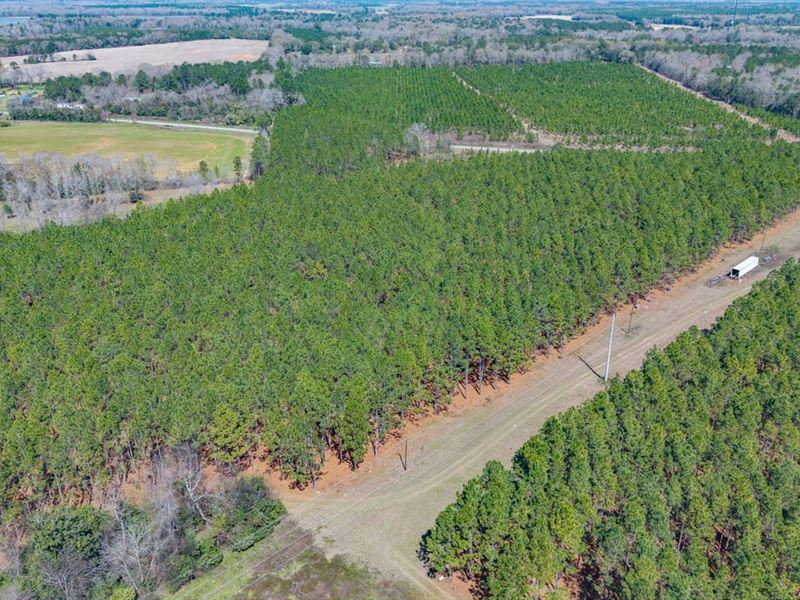 56 Ac Homestead and Recreation : Arlington : Calhoun County : Georgia