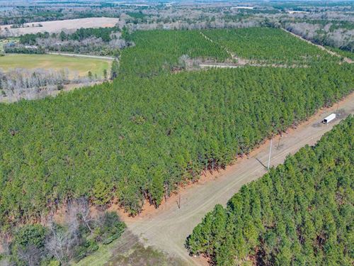 56 Ac Homestead And Recreation : Arlington : Calhoun County : Georgia