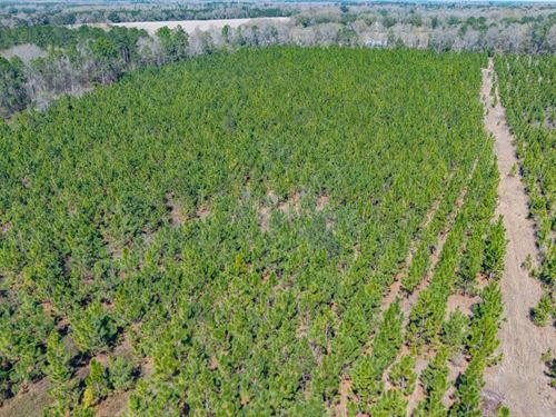 18 Ac Mini-Farm Homestead Lot Near : Arlington : Calhoun County : Georgia