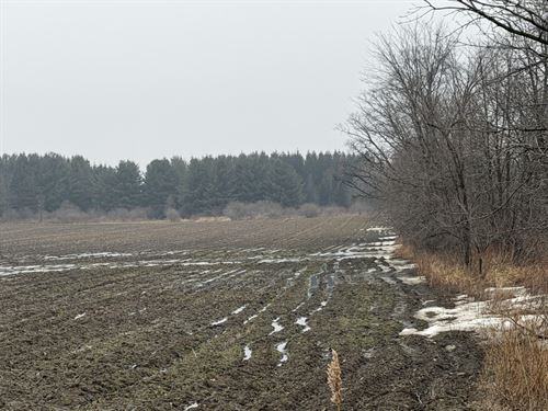 80 Acres in Snover, Michigan : Snover : Sanilac County : Michigan