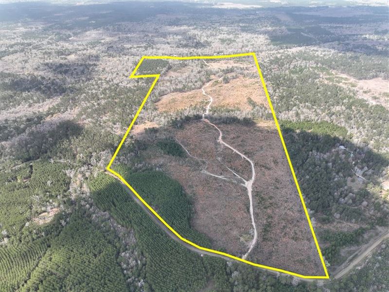 203 Acres, Neches River Front, Co : Jasper : Jasper County : Texas