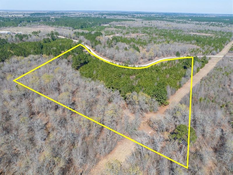 10 Acres, Bo Brown Road : Trinity : Trinity County : Texas