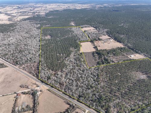 173 Acres, T-4 & T-5, Highway 287 : Pennington : Trinity County : Texas
