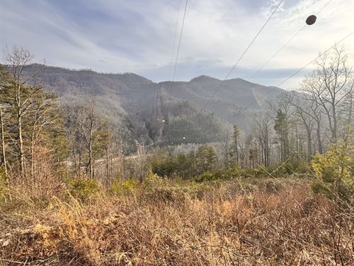 138.40 Acres in Kentucky's Elk : Cumberland : Harlan County : Kentucky