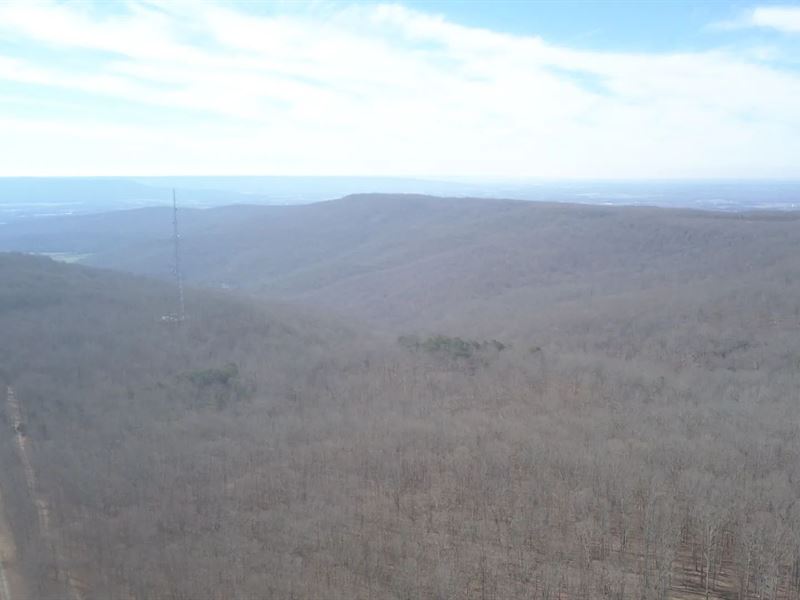 99.7 Acres in Grundy County, TN : Altamont : Grundy County : Tennessee