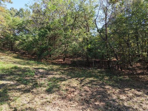 A Home on 9.07 Acres in Baxter Coun : Gassville : Baxter County : Arkansas