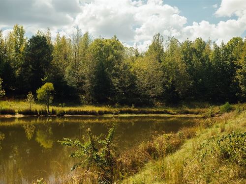 45 Acres in Panola County, MS : Batesville : Panola County : Mississippi