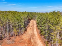 7 Acres In Oak Bowery, AL : Oak Bowery : Chambers County : Alabama