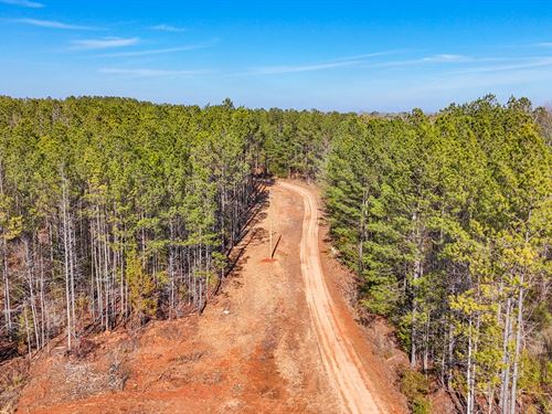 7 Acres In Oak Bowery, AL : Oak Bowery : Chambers County : Alabama