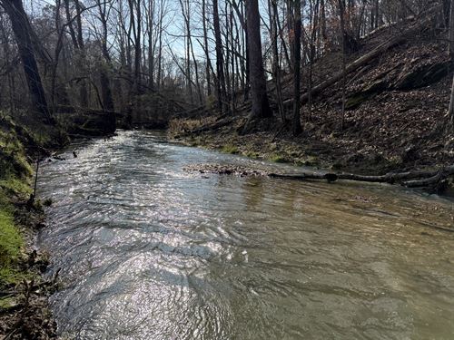 Gordon Co 49.9 Ac Creek & Pasture : Ranger : Gordon County : Georgia