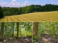 Tract 3 at Wolf Hill Estates : McArthur : Vinton County : Ohio