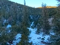 Rugged 5.13 Acres with Killer Views : Fort Garland : Costilla County : Colorado