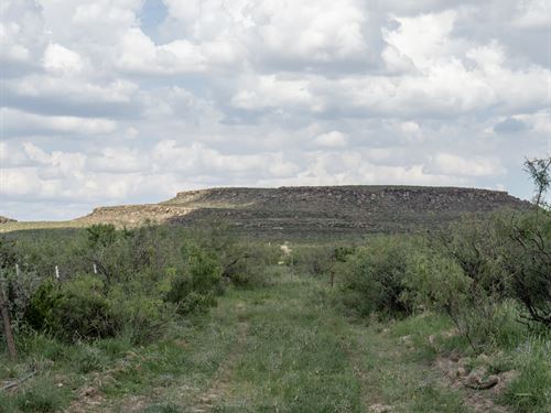 Wide Open West Texas Land : Sierra Blanca : Hudspeth County : Texas