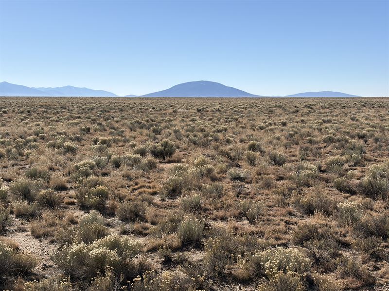 Colorado Land with Big Views : San Acacio : Costilla County : Colorado