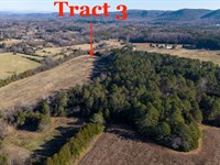 Creek, Open Land, & Mature Timber : Ranger : Gordon County : Georgia