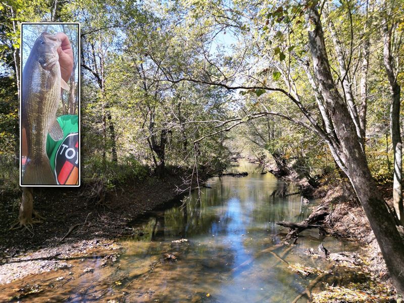 Racoon Creek Adventures : Vinton : Gallia County : Ohio