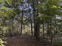 Tract 5 at Wolf Hill Estates : McArthur : Vinton County : Ohio