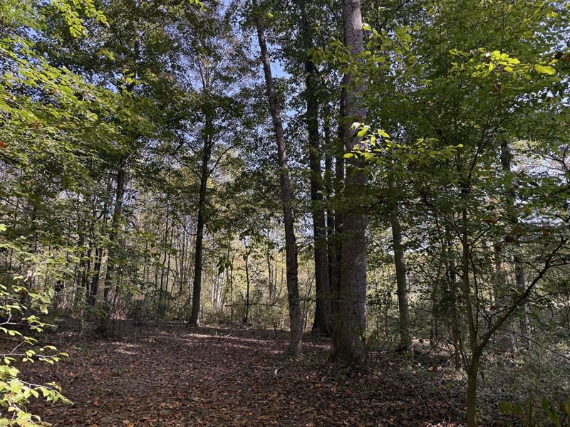 Tract 5 at Wolf Hill Estates : McArthur : Vinton County : Ohio