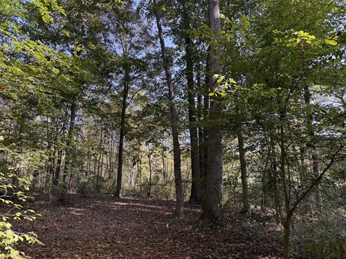 Tract 5 at Wolf Hill Estates : McArthur : Vinton County : Ohio