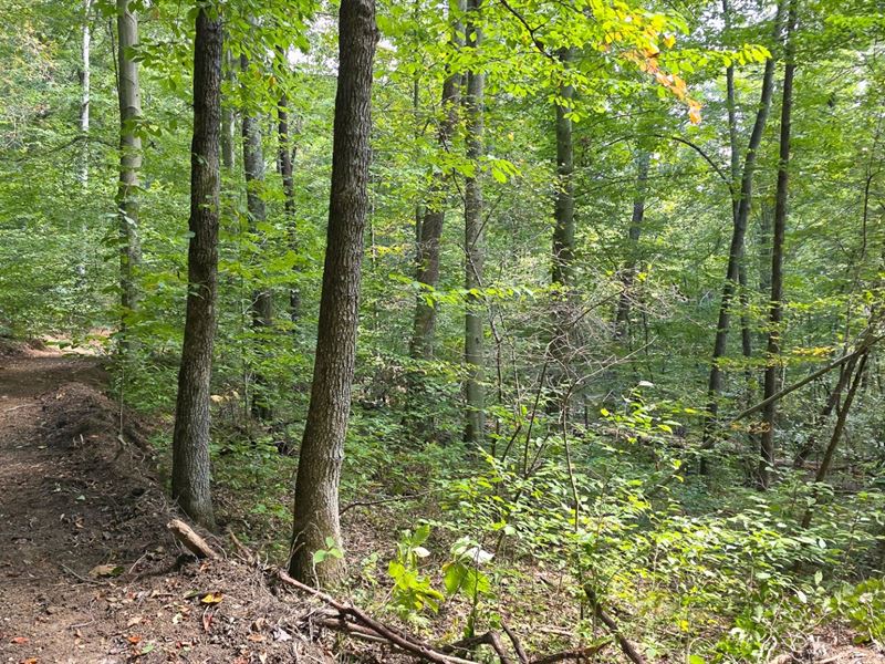Hocking Hideout Monday Creek C : New Straitsville : Hocking County : Ohio