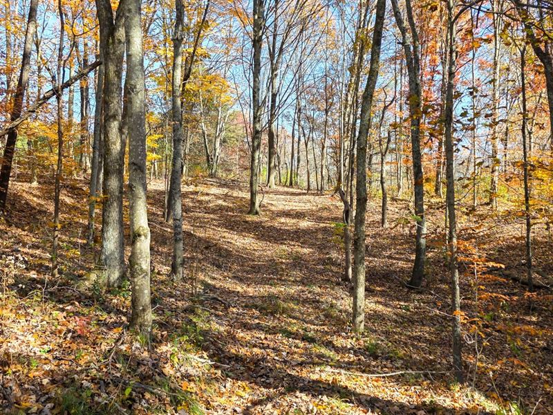 Tract 6 at Shawnee Woods : Corning : Perry County : Ohio