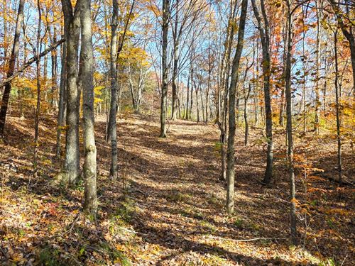 Tract 6 at Shawnee Woods : Corning : Perry County : Ohio