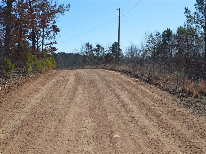 28 Acres in The Ozarks : Harriet : Searcy County : Arkansas