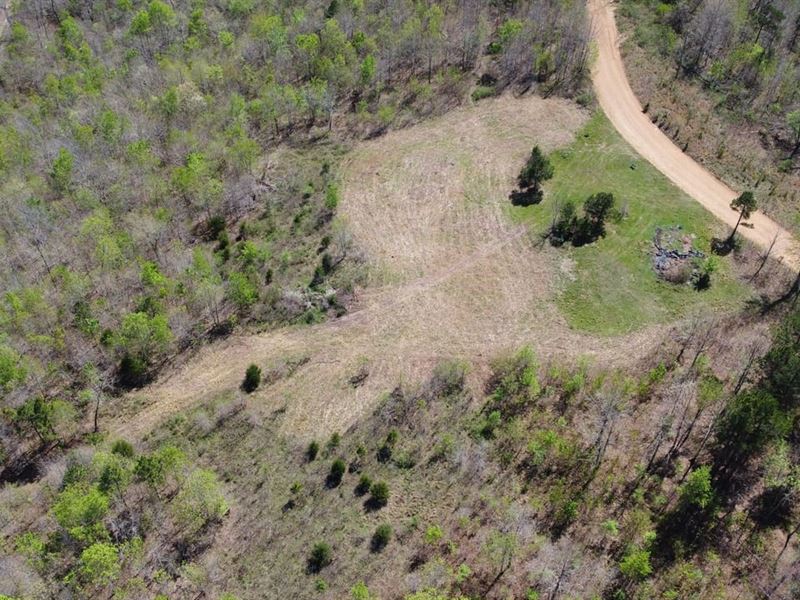 28 Acres in The Ozarks : Harriet : Searcy County : Arkansas