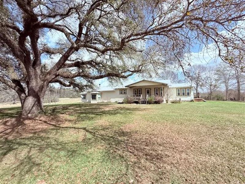 Home on 12 Acres of Pasture, Tyler : Tylertown : Walthall County : Mississippi