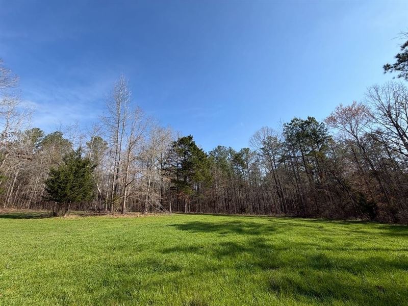 25 Acre Hunting / Recreational : Carrollton : Pickens County : Alabama
