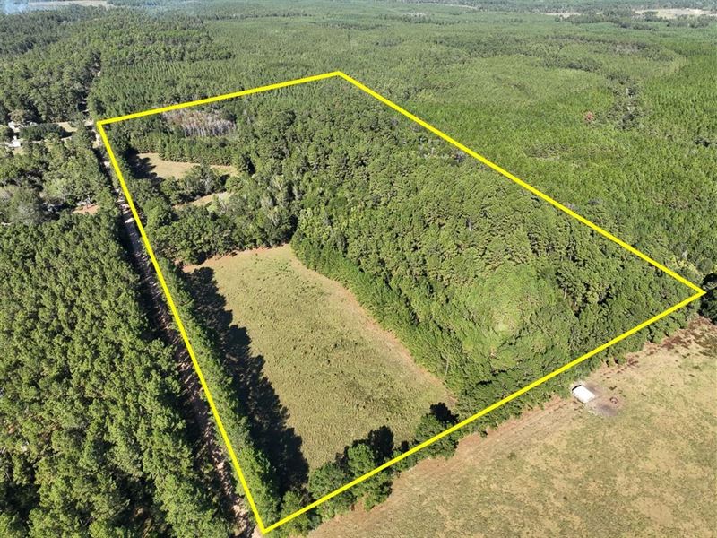 26 Acres, County Road 4850 : Warren : Tyler County : Texas