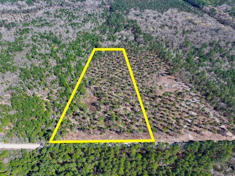 12.65 Acres, T-1, Boontown Road : Trinity : Trinity County : Texas