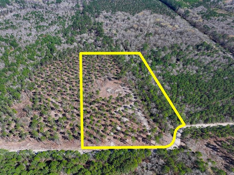 12.65 Acres, T-2, Boontown Road : Trinity : Trinity County : Texas