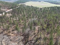 Gleneagles Lot 15 : Piedmont : Cherokee County : Alabama