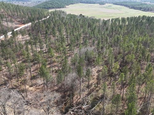 Gleneagles Lot 15 : Piedmont : Cherokee County : Alabama