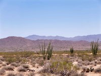 Own 5 Arizona Acres for $268 Down : Yucca : Mohave County : Arizona