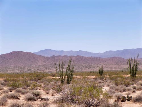Own 5 Arizona Acres for $268 Down : Yucca : Mohave County : Arizona