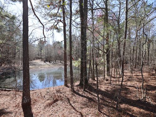 Hunting Retreat or Development : Eastman : Dodge County : Georgia