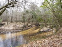 Beautiful 35 Acre Property : Cochran : Bleckley County : Georgia