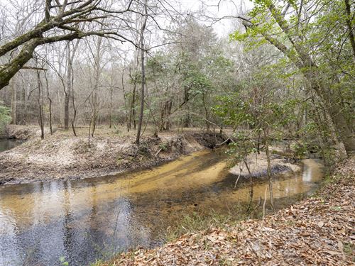 Beautiful 35 Acre Property : Cochran : Bleckley County : Georgia