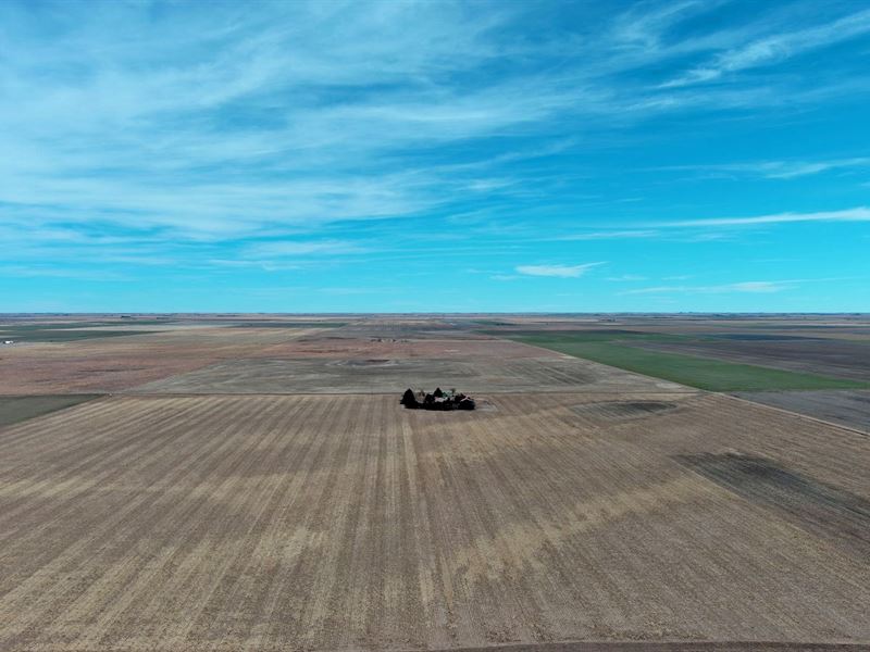 Ovid South Table Dryland Auction : Ovid : Sedgwick County : Colorado